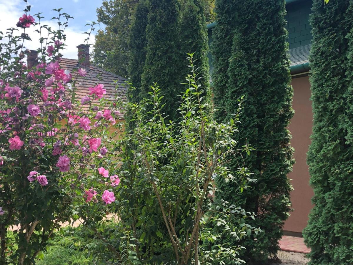 Villa Casa Mia Balatonlelle Eksteriør billede